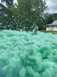 green 1734559348 Foam Party - Colors