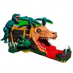 DJI 20240212125206 0024 D 1713300276 3D Dino Combo Choose Wet or Dry