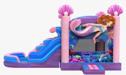 Mermaid201 1710436857 3D Mermaid Combo Choose Wet or Dry